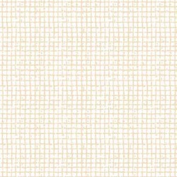 GRID TEXTURES ON MINKY