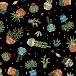 CACTUS PLANTS ON MINKY