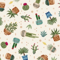 CACTUS PLANTS ON MINKY