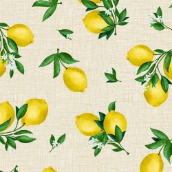 LEMON TEXTURE ON MINKY