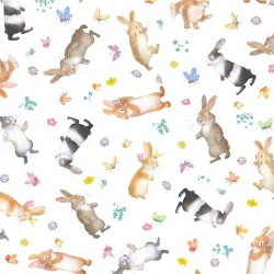 FUNNY BUNNY ON MINKY