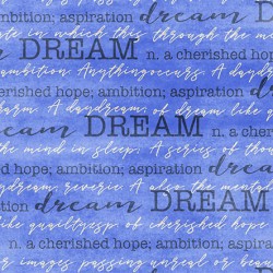 DREAM ON MINKY