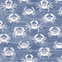 CRABBY ON MINKY