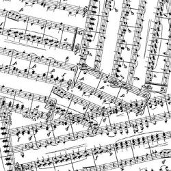 MUSIC MELODY ON MINKY