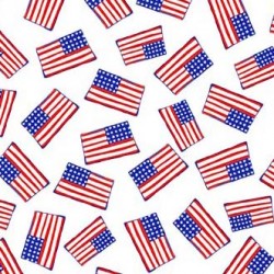 STAR SPANGLED ON MINKY