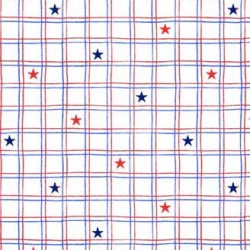 CHECKERED ON MINKY