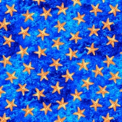 STARS OF THE OCEAN ON MINKY