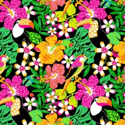 TOUCAN TROPICS ON MINKY