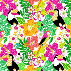 TOUCAN TROPICS ON MINKY