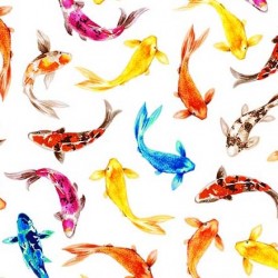 COLORFUL KOI ON MINKY