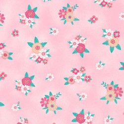 DESERT BLOSSOM ON MINKY
