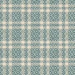 COZY PLAID ON MINKY