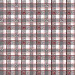 ALPINE GINGHAM ON MINKY