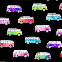 MAGIC BUS ON MINKY