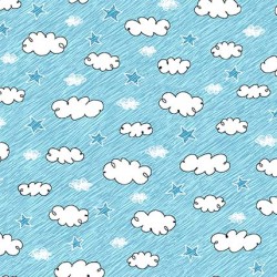 CLEAR THE SKY ON MINKY