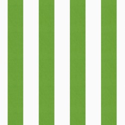 THIN STRIPE