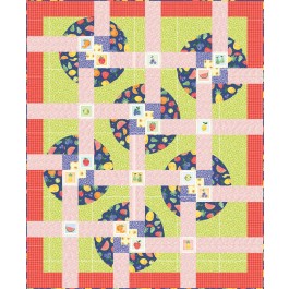 Spin Class A Bushel and a Peck Quilt by Everyday stitches - 67"x81"