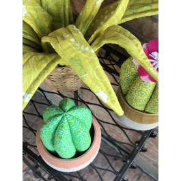 Flower shop Cacti plants