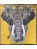 Jungle Abstractions: The Elephant by Violet Craft  /54"x60"