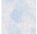 Fairy Frost
