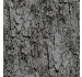 TREE BARK