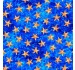 STARS OF THE OCEAN