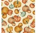 PLENTIFUL PUMPKINS