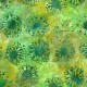 BARNACLES