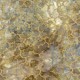 CORAL REEF with Metallic