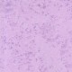 Fairy Frost (pearlized metallic)