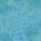 Fairy Frost