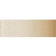 OMBRE BORDER