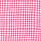 GINGHAM PLAY