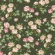 RAMBLIN' ROSE