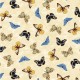 PAPILLONS