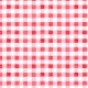 SUMMER GINGHAM