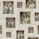 WINDOWS TO THE WILD