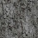 TREE BARK