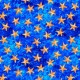 STARS OF THE OCEAN