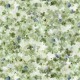 PACKED PETALS