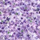 PACKED PETALS