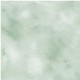 FAIRY WING TEXTURE