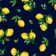 LOTS A LEMONS ON MINKY