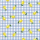 LEMON SQUEEZE ON MINKY
