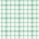 POP UP PLAID ON MINKY