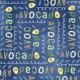 LOVE AVOCADO ON MINKY- NOT FOR PURCHASE BY MANUFACTURERS