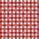 ALPINE GINGHAM ON MINKY